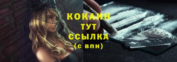 стаф Пестово