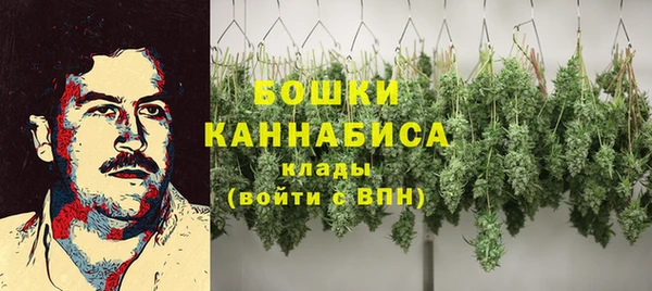 прущая мука Пересвет