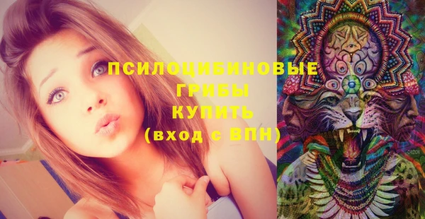 стаф Пестово