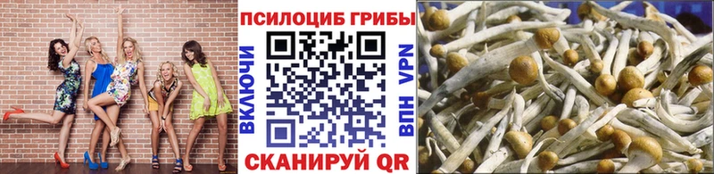 Галлюциногенные грибы ЛСД  Купить  Тутаев 